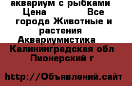 аквариум с рыбками › Цена ­ 15 000 - Все города Животные и растения » Аквариумистика   . Калининградская обл.,Пионерский г.